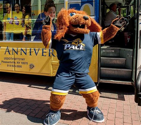 Inspiring Success: How the Pace University Mascot Motivates Students